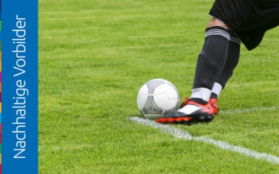 Nachhaltige Vorbilder: Forest Green Rovers sind der grünste Fußball-Verein der Welt