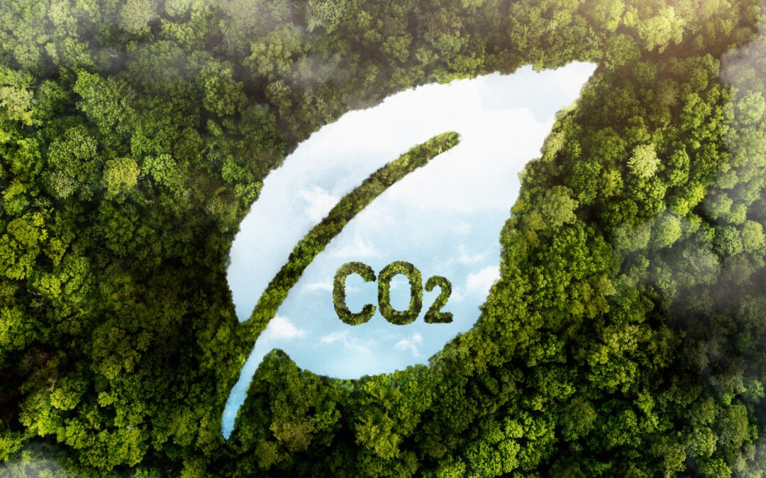 Neuer kostenloser CO₂-Rechner für den Sport vorgestellt